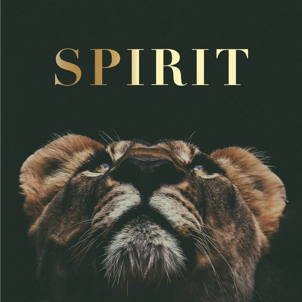 SPIRIT (Instrumental)