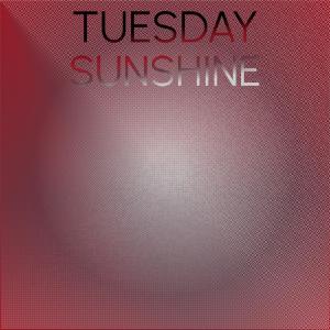 Album Tuesday Sunshine oleh Various