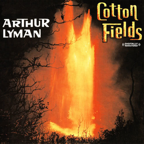 Cotton Fields (The Cotton Song) (Album Version)