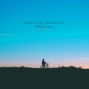 Album Dazzlingly Beautiful Memories from Lee Seulrin