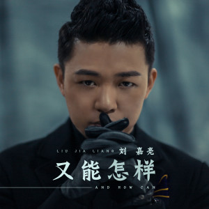 Album 又能怎样 from 刘嘉亮
