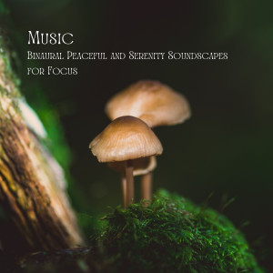 Album Music: Binaural Peaceful and Serenity Soundscapes for Focus oleh Binaural Brain Waves