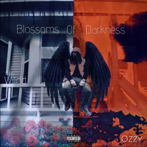 Listen to Blossoms of Darkness (Explicit) song with lyrics from Wildd