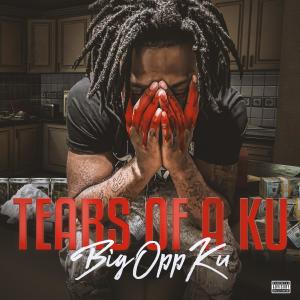 Listen to Free Set (push Da button) (feat. Setitoff83) (Explicit) song with lyrics from 3dupkash