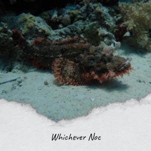 Listen to Fiend Dive song with lyrics from Kaie Dlan