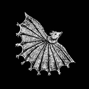 Album Ignore Grief (Explicit) from Xiu Xiu