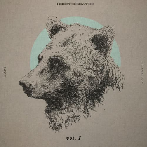 Stones Under Rushing Water (feat. Drew Holcomb & Ellie Holcomb) [Acoustic Live] (Acoustic Live)