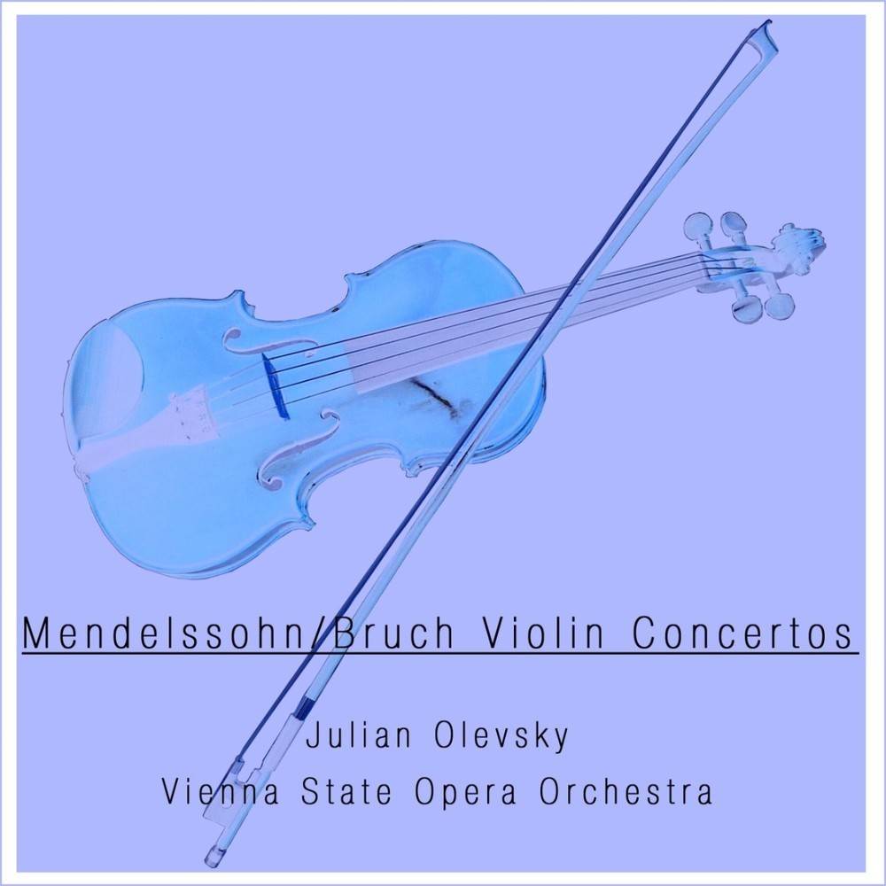 Violin Concerto No. 1 in G Minor, Op. 26: I. Allegro moderato / II. Adagio