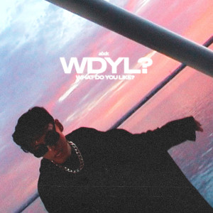 abdr.的专辑WDYL?