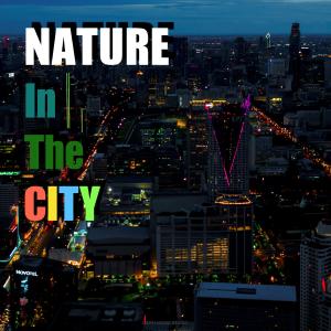 Ian Yu的专辑Nature in the City (Studio Version)
