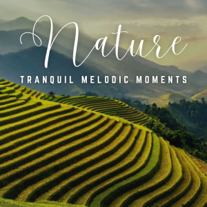 Album Soothing Serenades: Enriching Relaxation Melodies oleh Relaxing BGM Project