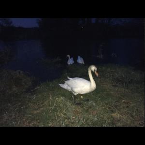 收聽Saint Tomorrow的The Watering Gates歌詞歌曲