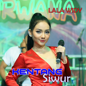 Lala Widy的专辑Kentang Siwur