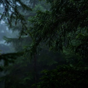 ดาวน์โหลดและฟังเพลง Chuva Silenciosa พร้อมเนื้อเพลงจาก Cleber Motta