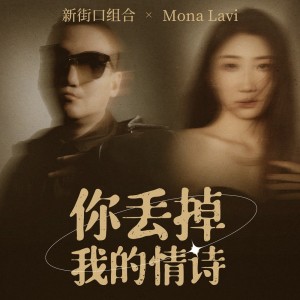 Listen to 你丢掉我的情诗 (DJ版) song with lyrics from 新街口组合