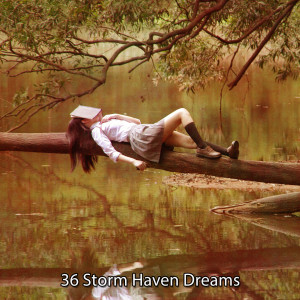Relaxing Rain Sounds的專輯36 Storm Haven Dreams