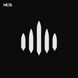 Listen to Cricket (we nice) song with lyrics from Organ