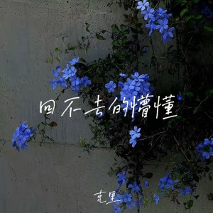 Album 回不去的懵懂 from 