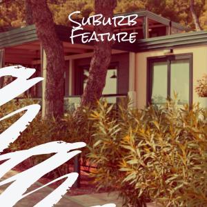 Various Artists的專輯Suburb Feature
