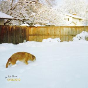 Cold Front的專輯So Much Wine