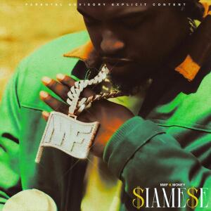 Album $iamese (Explicit) from NWF K Money