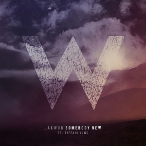 ดาวน์โหลดและฟังเพลง Somebody New พร้อมเนื้อเพลงจาก Jakwob