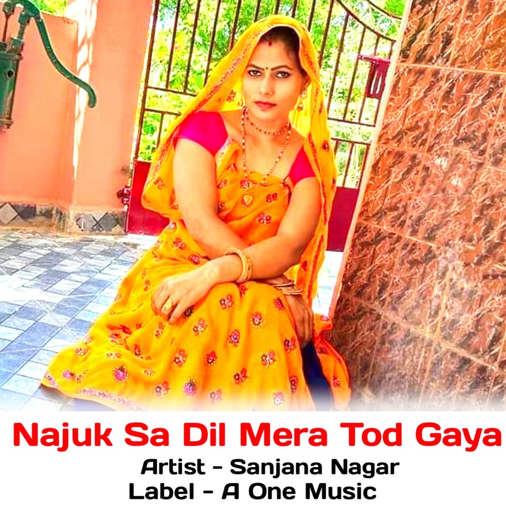 Najuk Sa Dil Mera Tod Gaya
