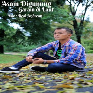 Dengarkan Asam Di Gunung Garam Dilaut lagu dari Real Andrean dengan lirik