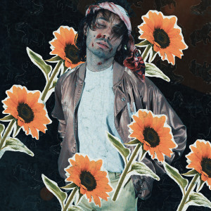 ดาวน์โหลดและฟังเพลง Fammi crescere i denti davanti พร้อมเนื้อเพลงจาก Rob the Child