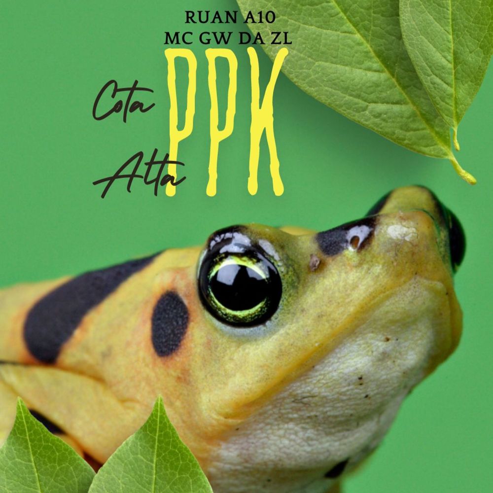 Cota Alta Ppk