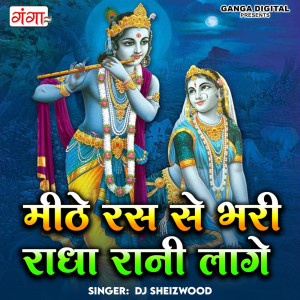 Listen to Mithe Ras Se Bhari Radha Rani Lage (Hindi) song with lyrics from DJ Sheizwood