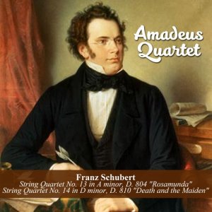 ดาวน์โหลดและฟังเพลง String Quartet No. 13 in A minor, D. 804 "Rosamunda": I. Allegro moderato (其他) พร้อมเนื้อเพลงจาก Franz Seraphicus Peter Schubert