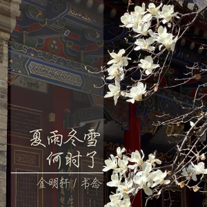 Album 夏雨冬雪何时了 from 
