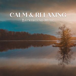 Judson Mancebo的專輯Calm & Relaxing Background Music