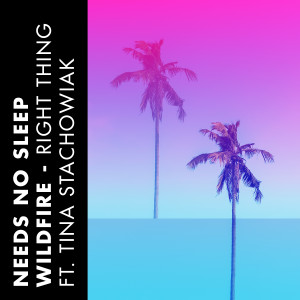 收听Needs No Sleep的Right Thing (Extended Mix)歌词歌曲