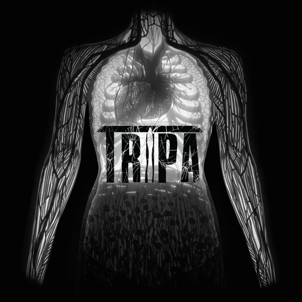 Influencer (Explicit)