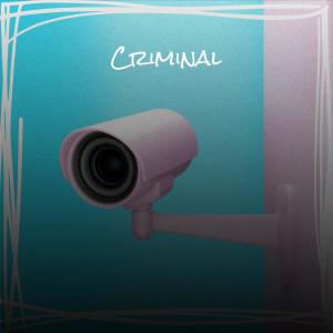Album Criminal from Various