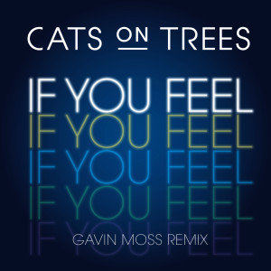 Cats On Trees的专辑If You Feel (Gavin Moss Remix)
