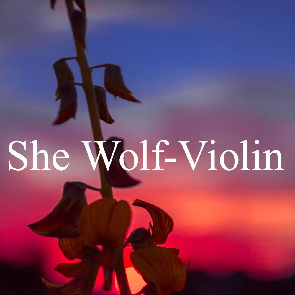 She Wolf-Violin