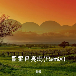 Album 星星月亮岛 (Remix) from 王萌