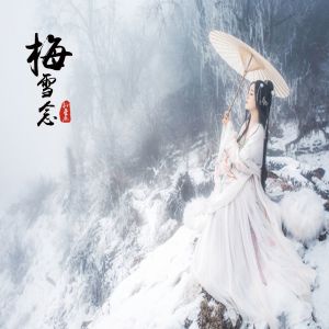 Listen to 梅雪念 (伴奏) song with lyrics from 孙星辰