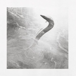 收聽ABSENTA的Eel (Explicit)歌詞歌曲