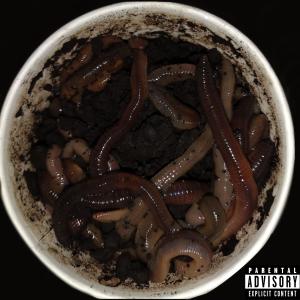 Album Like A Worm (feat. Jadakiss & Saint Havoc) (Explicit) from Jadakiss