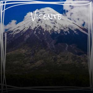 Album Vicente from Various
