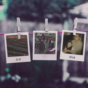 Listen to Ensam (Explicit) song with lyrics from Elai