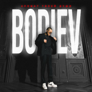 Listen to Аромат твоей души song with lyrics from Bodiev
