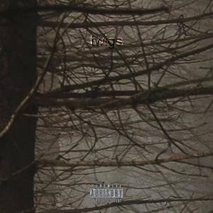 收聽AVXiD的No, Not Here歌詞歌曲