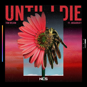 ดาวน์โหลดและฟังเพลง Until I Die พร้อมเนื้อเพลงจาก Tom Wilson