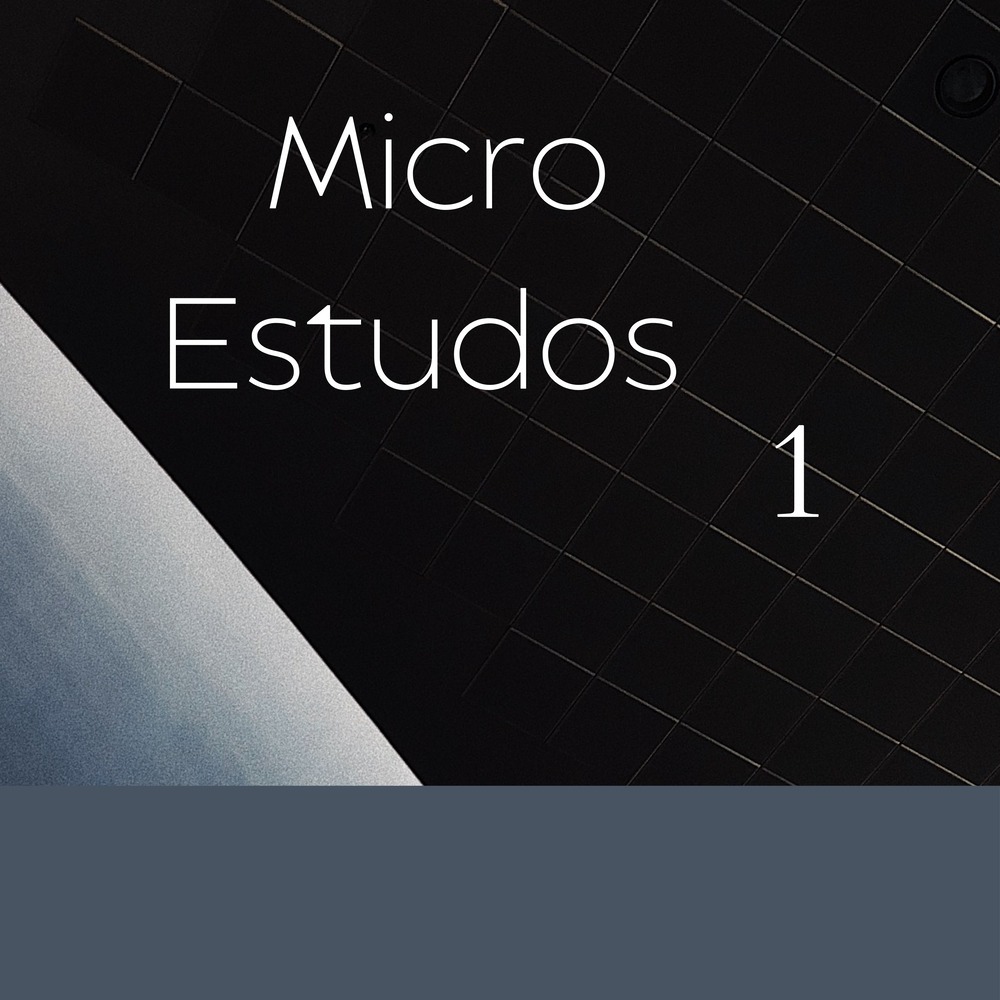 Micro Estudo 1