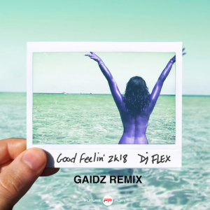 ดาวน์โหลดและฟังเพลง Good Feelin' 2K18 (Gaidz Remix) พร้อมเนื้อเพลงจาก DJ Flex